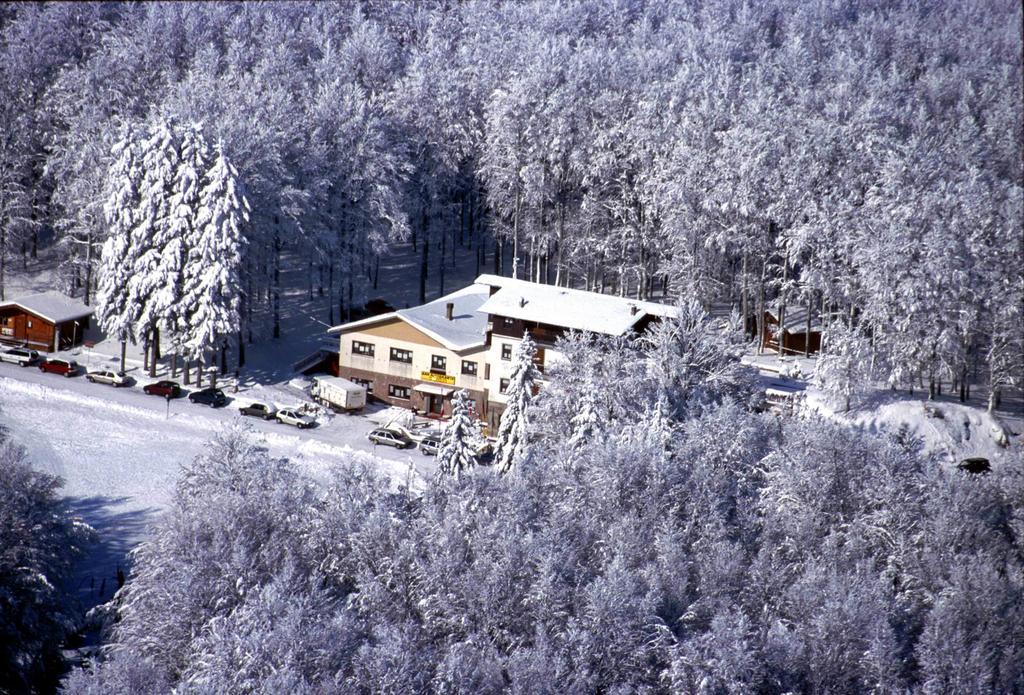 Albergo Le Macinaie - Monte Amiata Кастель-дель-П'яно Екстер'єр фото