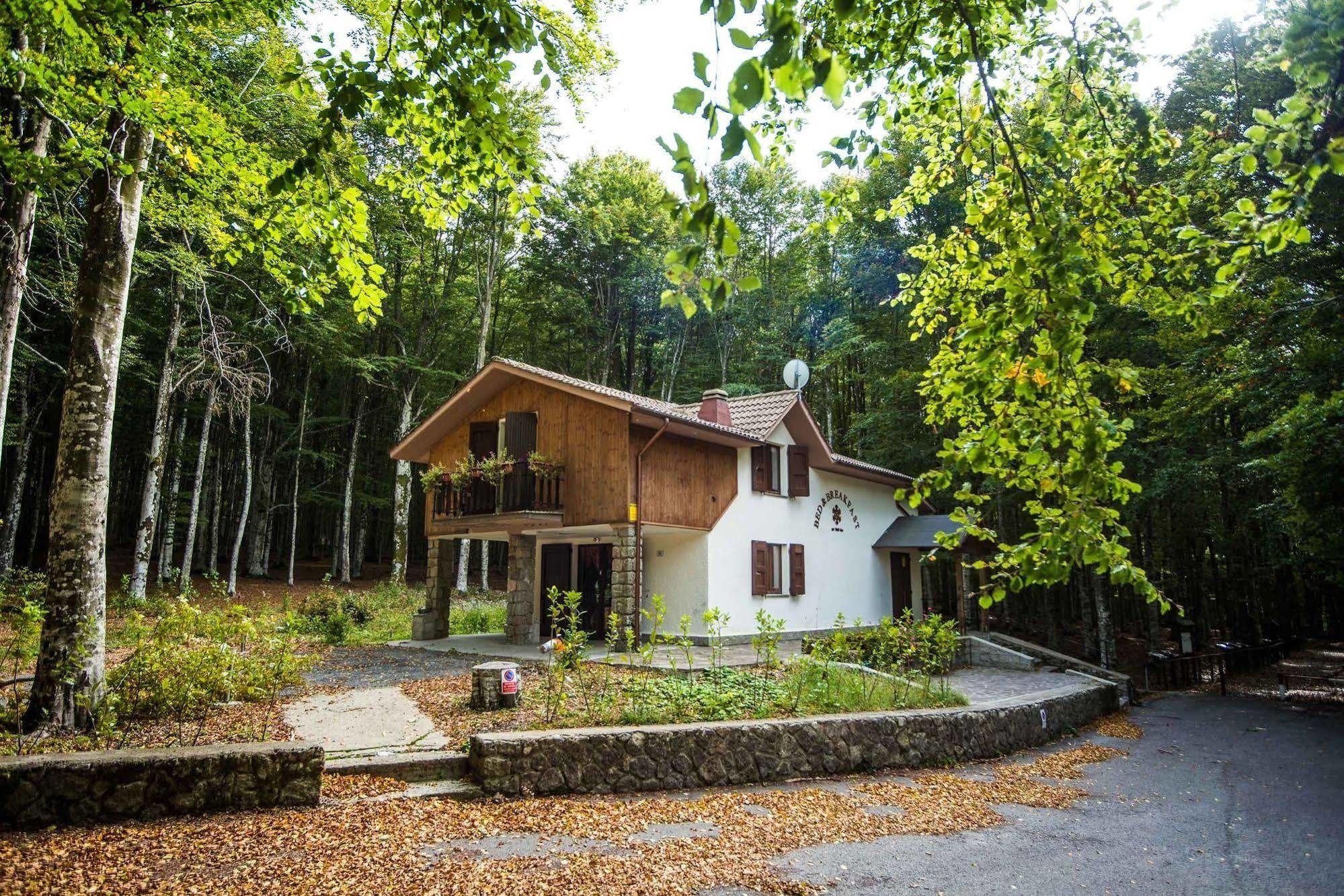 Albergo Le Macinaie - Monte Amiata Кастель-дель-П'яно Екстер'єр фото